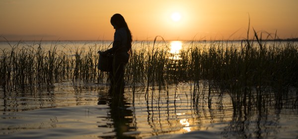 ‘Where the Crawdads Sing’ (2022) | Movie Review